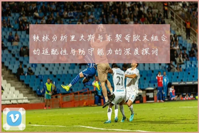 铁林分析里夫斯与东契奇欧文组合的适配性与防守能力的深度探讨